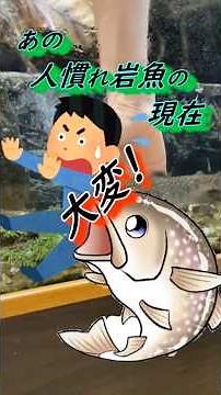 【渓流魚飼育（イワナ飼育）】人慣れ岩魚の現在！慣れすぎて大変なことに😱 #渓流#イワナ#日本淡水魚#アクアリウム#水槽#飼育