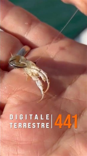 Trabucco - A Pesca con l'Alieno