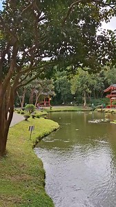 4.2K views · 136 reactions | Hidden in the mountains of Oahu, we...