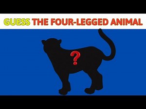 🎉 Guess the Four-Legged Animal! 🐾 | Fun Animal Quiz for Kids | Bing Kids TV