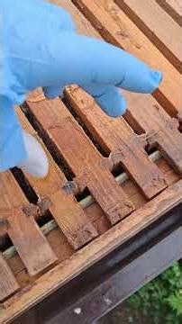 Don't get caught out at this time of year - 29-03-2026