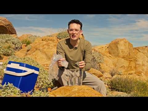 The most advanced active cooling technology