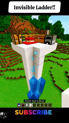 Invisible Ladder!!!... #minecraft #shorts #animation #anime