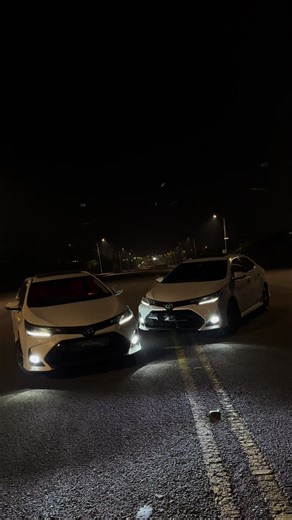 Two beauties🤍
