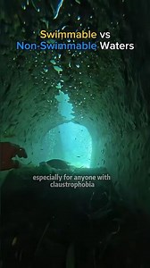 Waters You Can Swim In… and Shouldn’t #swimming #shorts