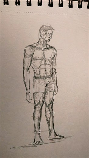 Human Figure Drawing #art #shorts #shortsfeed #drawing #sketch #viral