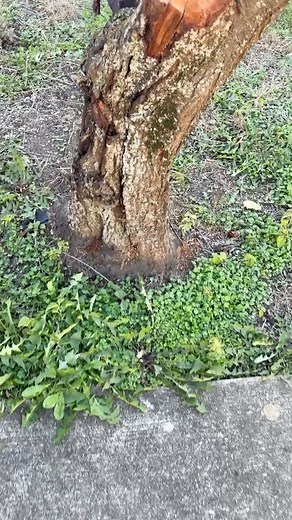 Today’s Bonus Coin Drop is Live! This coin drop has a special hope stone that we got from Michael Diller, PsyD. at the Central Pa Chamber Annual Dinner. Consider his your little piece of hope to take with you along with your new lucky coin. T-Ross Brothers Construction is back with another bonus coin for the Susquehanna Valley Scavenger Hunt! If you’re the first to find this coin, it’s yours to keep — and it earns your team an entry into the $2,000 grand prize event! Simply take the coin, scan t