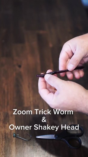How to: Rig a Screw Lock Shakey Head #howto #fishing #tackle #shakeyhead #zoom #trickworm