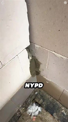 Worst Things Teachers Destroyed in Class