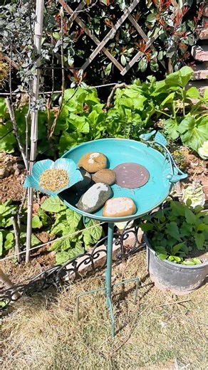 🏡 Turn your bird bath into a garden centerpiece. #mellbree #mellbreemagic #birdbath #diy #garden