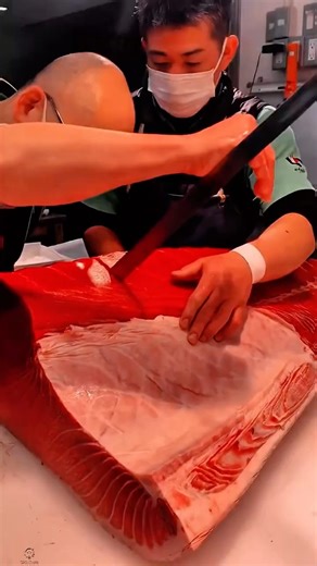 Fresh Tuna Cutting Work Tool Using Manual Fillet Knife #worktool