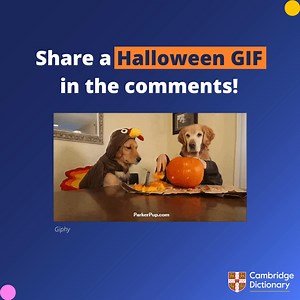 5.3K views · 66 reactions | Today’s word of the day is one of our favourite things – GIF! 﫶 Do you love GIFs as much as we do? 朗  Share your favourite Halloween GIF in the comments!  ℹ️ A GIF is a type of computer file that contains a still or moving image. #Halloween #CambridgeWOTD #CambridgeDictionary | Cambridge Dictionary | Facebook