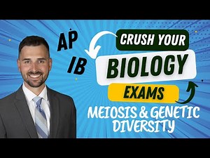 Meiosis and Genetic Diversity