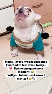 Follow me please #dogtraining #petlover #puppydog #dogwalking #dogfriendly #dogtrainer #doggram #dog #nationalpetday #dogsofinstagram #doglover #pet #dogstagram #puppy #puppylove #dogoftheday #pets #petlovers #doglife #doglovers #animal #dogphotography #petstagram #instadog #goldenretrieversofinstagram #puppiesofinstagram #petsofinstagram #puppies #happydog #rescuedog | Dogs love