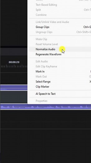 How to Fix Your Audio Levels | PowerDirector