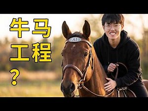 火遍全网的 Harness 到底是啥？1 个项目带你搞懂