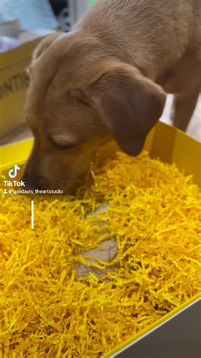 Gail Davis on Instagram: "It’s begun. 2nd mask will be on the next doorstep very soon. • SHOP 🔻www.artgaildavis.com • #paintings @followers @skyartsartistoftheyear #onlineshop #artonline #sellingart #onlinegallery"