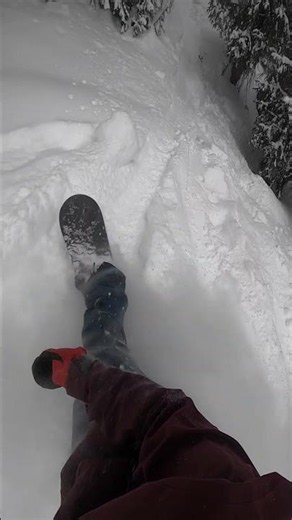 Switch Frontside Rodeo 540 into Powder - POV