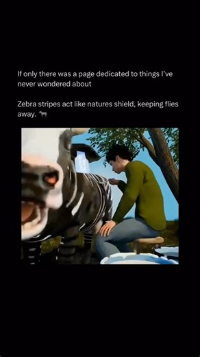 Wondered | Facts & Curiosity on Instagram: "🦓✨ Did you know zebra stripes are nature’s built-in bug repellent? Those bold black-and-white patterns don’t just look iconic they confuse biting flies. Horseflies rely on polarized light to find a landing spot, and zebra stripes break up that signal, making it harder for them to touch down. So while flies still buzz around, they struggle to land… meaning fewer bites, less disease, and one more reason zebra style is pure evolutionary genius. Nature do