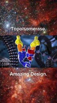 Amazing Machines needed for DNA Replication.