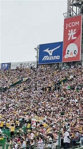 Loud… Then Silent. Japanese Baseball Culture Explained 🇯🇵⚾️