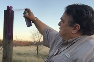 If You See Purple Paint Marks While Hunting, Do This Immediately