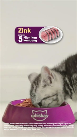 WHISKAS Junior — Nutrisi Lengkap & Seimbang untuk Si Manja! 🐾💜