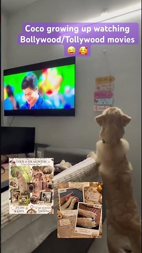 Coco growing up watching Bollywood/Tollywood movies 😜 🥰