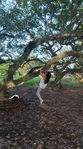 Full Body Tree Workout For Gains #workout #treeworkout