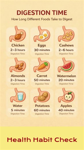 How Long Does It Take to Digest Food ⏱️ Digestion Time Explained #cleaneatingoptions #dailyhabits