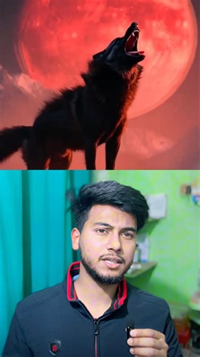 Pain Teaches the Best Lessons 💔 #lifelessons #animals #motivation #shorts