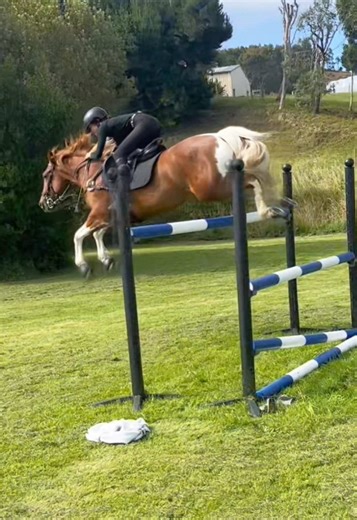 Show Jumping Highlights: Horse Jumps 140cm