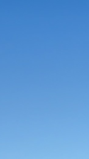 I got a good video yesterday of a golden eagle coming in for a landing | Ludger Lucero