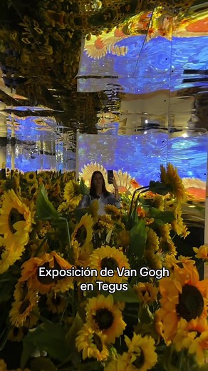 Exposición de Van Gogh en Tegucigalpa