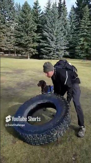 Conquer the Zulu K9 Challenge 2025: Ultimate Obstacle Race for Dogs and Owners