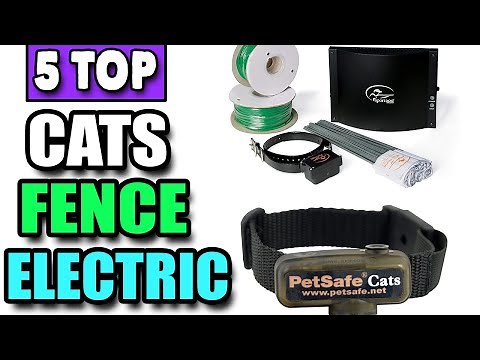 Best Indoor Invisible Fence for Cats Electric Cat Fence