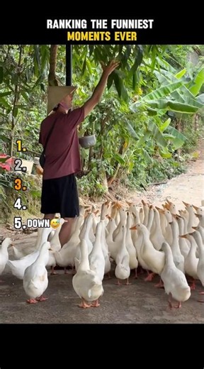 Ranking the Funniest Moments Ever 😂 #funny #hilarious