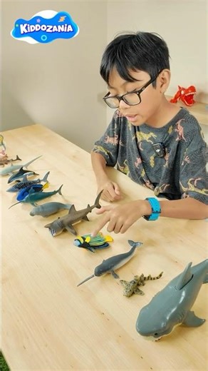 My Sea Animal Collection Toy Figures | Sea Animal Names and Facts