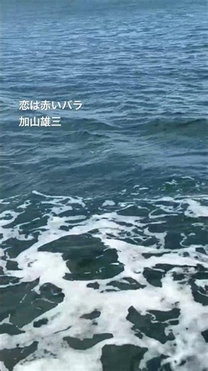 恋は赤いバラ 加山雄三