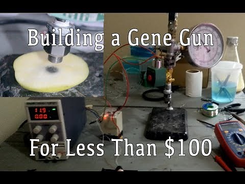 How To Build A Gene Gun For Less than $100!