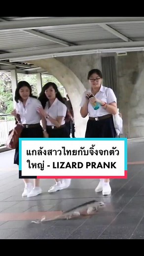 Lizard Prank แกล้งสาวไทยกับจิ้งจกตัวใหญ่ #pranks #prankwars #lizard #timewarpwaterfallchallenge #somechallenge #emojichallange