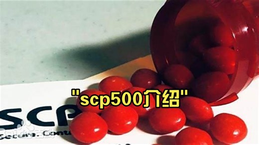 scp500介绍