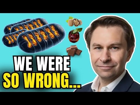 Dr. David Sinclair | Eat These 3 Foods Before Bed to Make New Mitochondria (Scientific Proof)