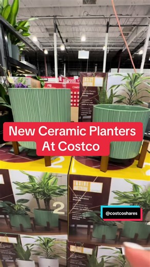 Stylish New Ceramic Planters at Costco