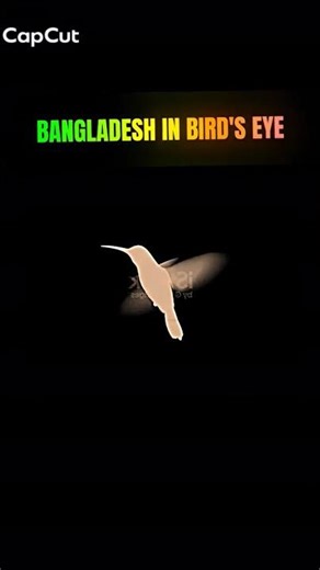 THE BIRDS EYE ON THE GREEN VILLA 🌿🇧🇩 🌿