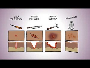 Primeros Auxilios 2015