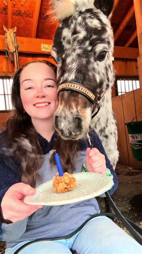Happy 7th Birthday Max the Mini Horse!