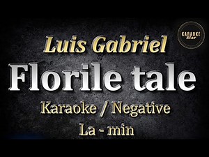 Luis Gabriel - Florile tale / Karaoke / Negative / La - minor