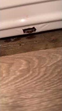 Hotpoint integrated washing machine leaking ￼problem