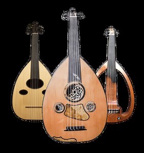 Shop Premium Ouds for Sale - Oudinstrument.com